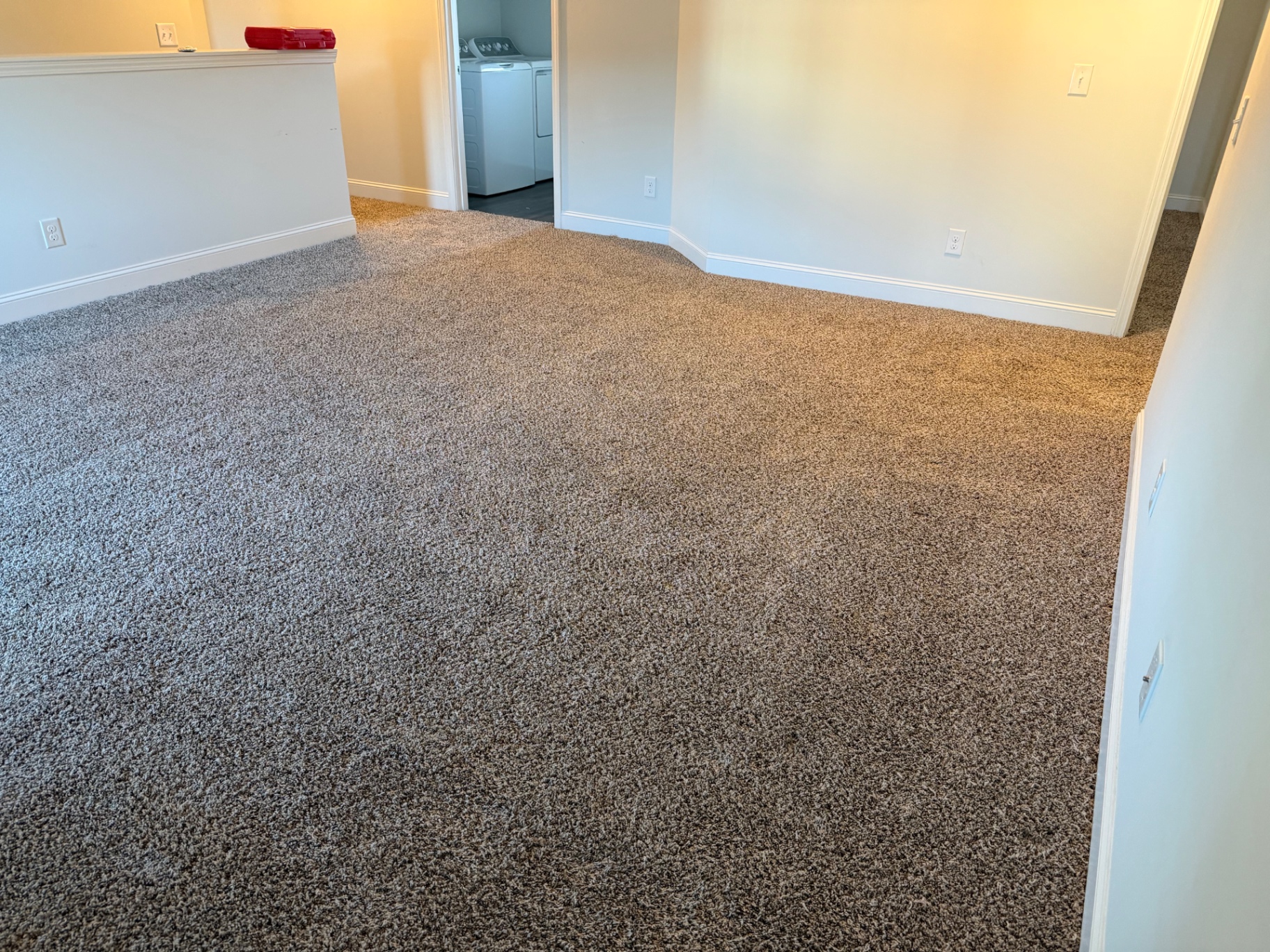 Carpet refresh after